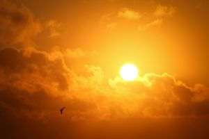 UAE: Absolute temperature record for May